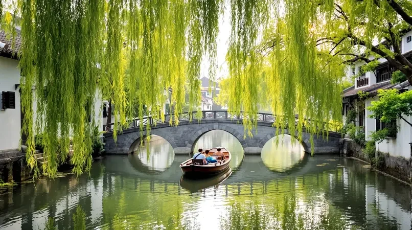 江南水乡的慢生活，把日子过成诗 - 小小影院排行榜第19名